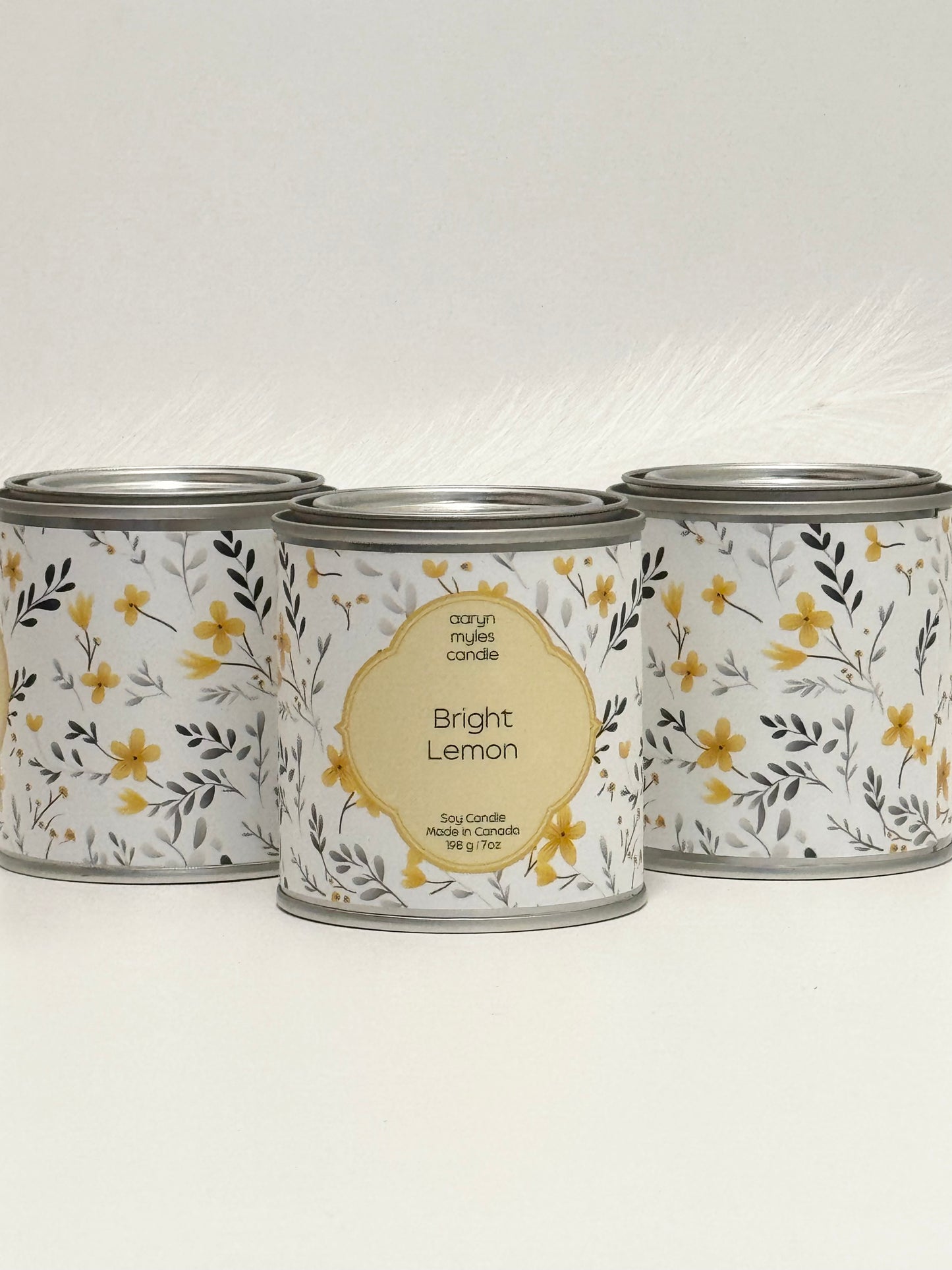 Bright Lemon (Classic Line) - Paint Can Collection