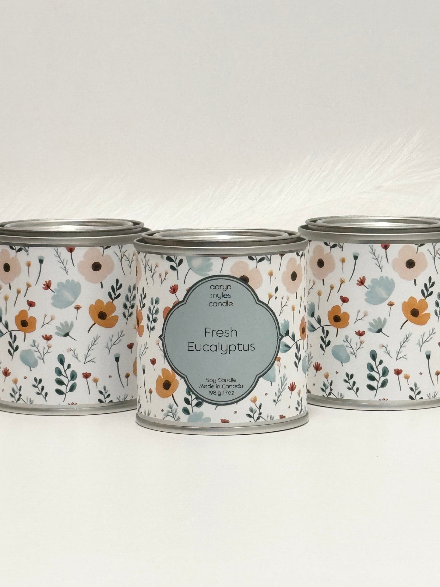 Fresh Eucalyptus (Classic Line) - Paint Can Collection