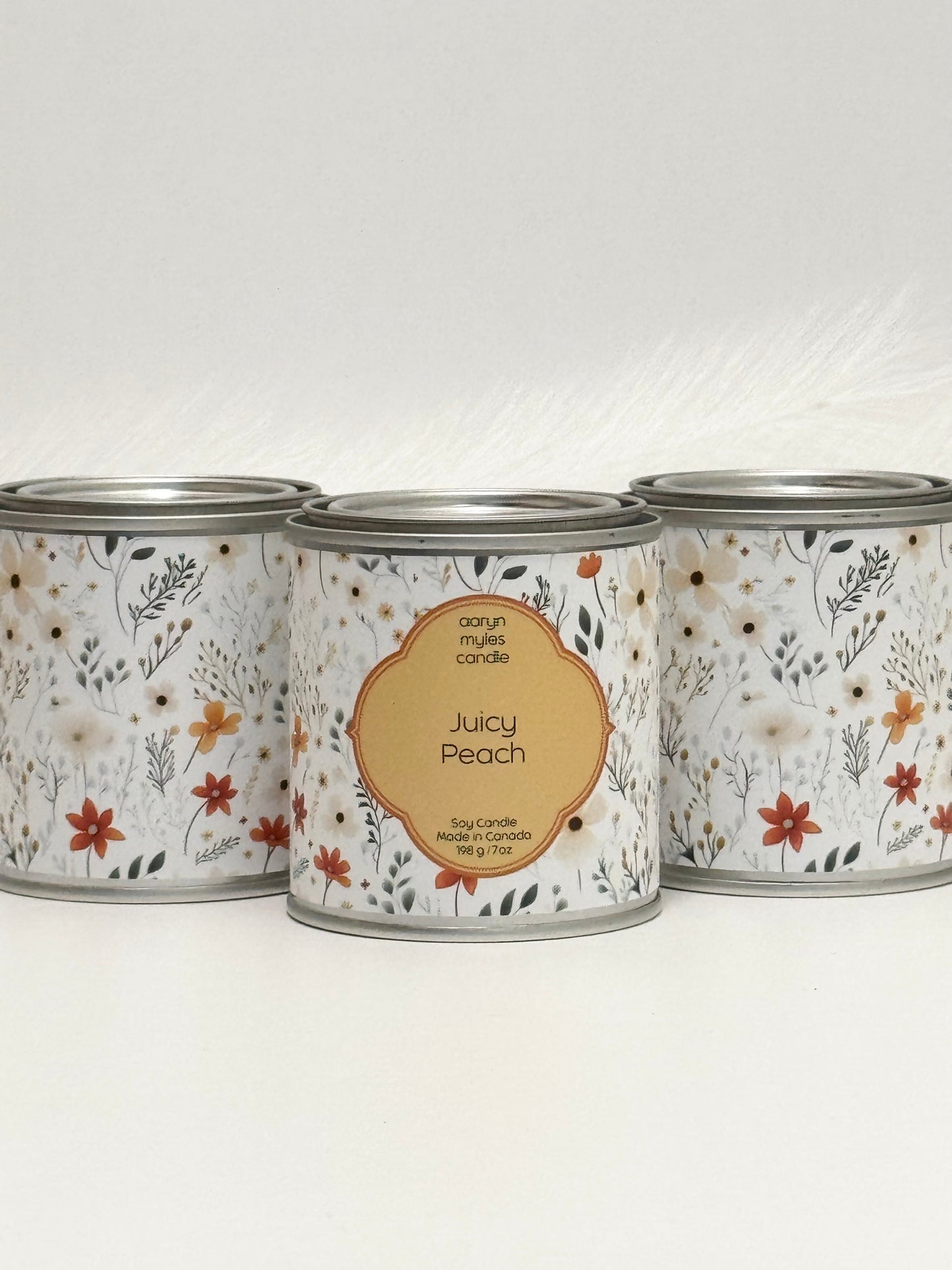 Juicy Peach - Paint Can Collection